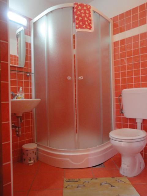 Apartment Belic Vinko- House *