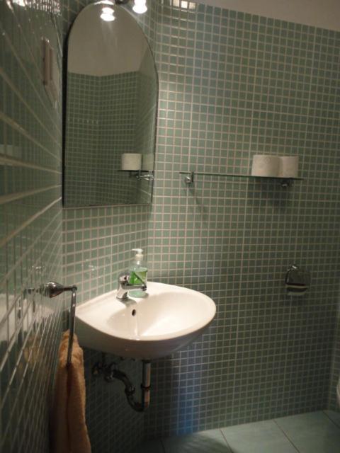 Apartment Belic Vinko- House