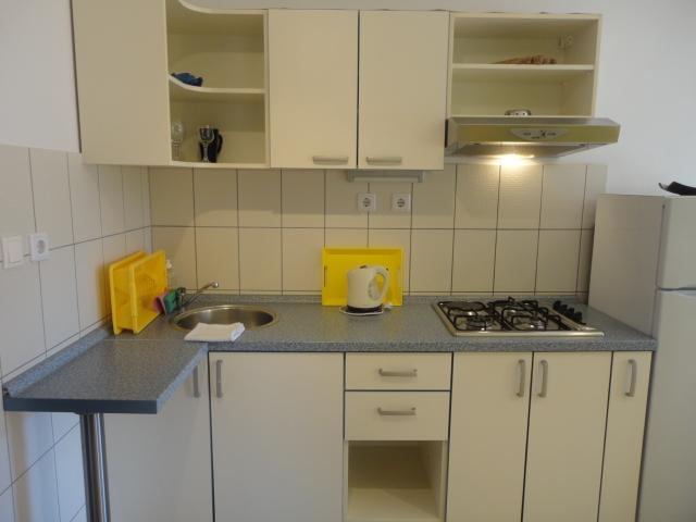Apartment Belic Vinko- House *