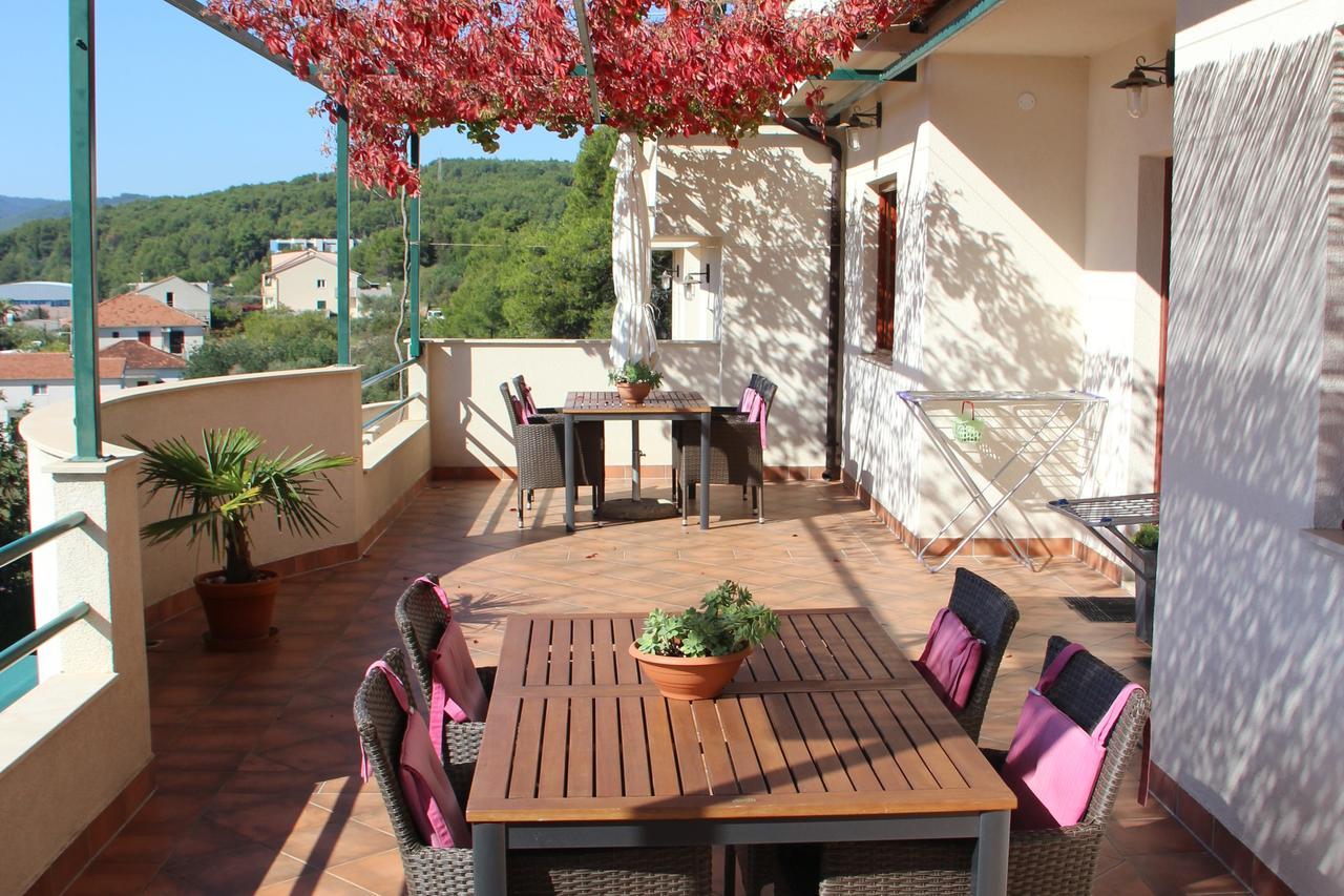 Apartment Belic Vinko- House